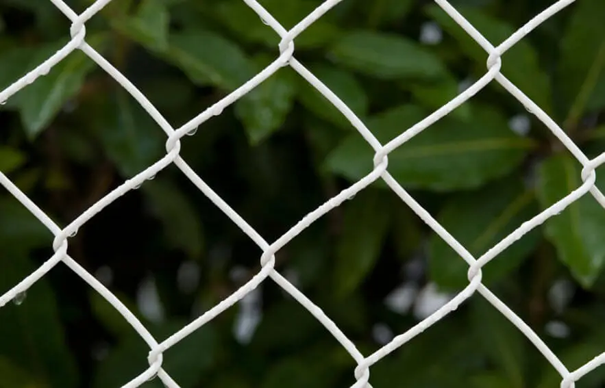 Quy cách lưới B40, kích thước, trọng lượng và khổ lưới thép B40