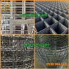 Lưới inox 50x50